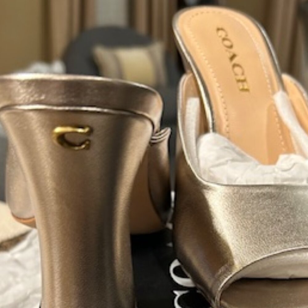 Coach Platinum Champagne Laurence Metallic Smooth Leather Upper Sandal - Picture 5 of 12